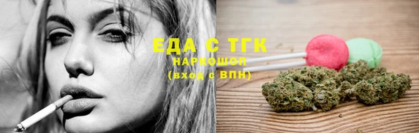 гидра Богородск