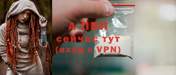 гашик Богородицк