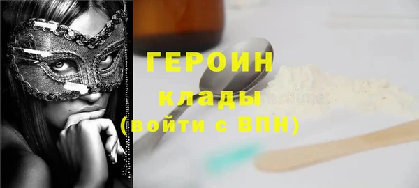 гидра Богородск