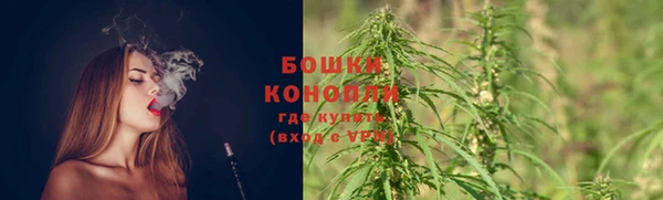 гидра Богородск