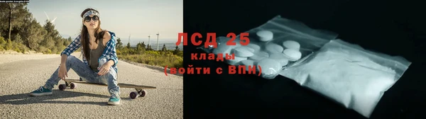 СК Тайга