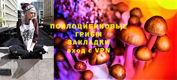 гидра Богородск