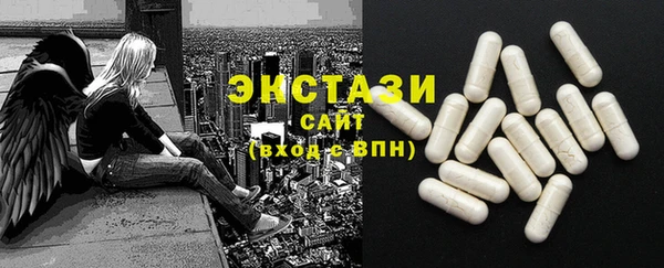 гидра Богородск
