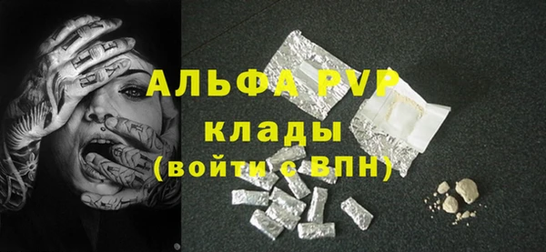 гидра Богородск