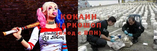 гидра Богородск