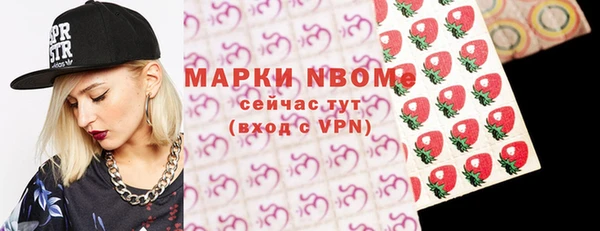 гидра Богородск