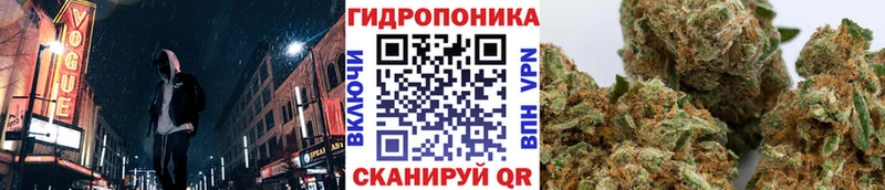 дарнет шоп  Кремёнки  Шишки марихуана Amnesia 